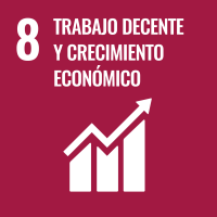 Objetivo 8