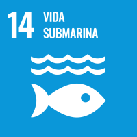 Objetivo 14