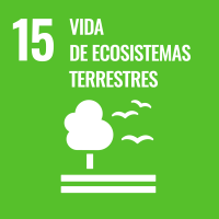 Objetivo 15